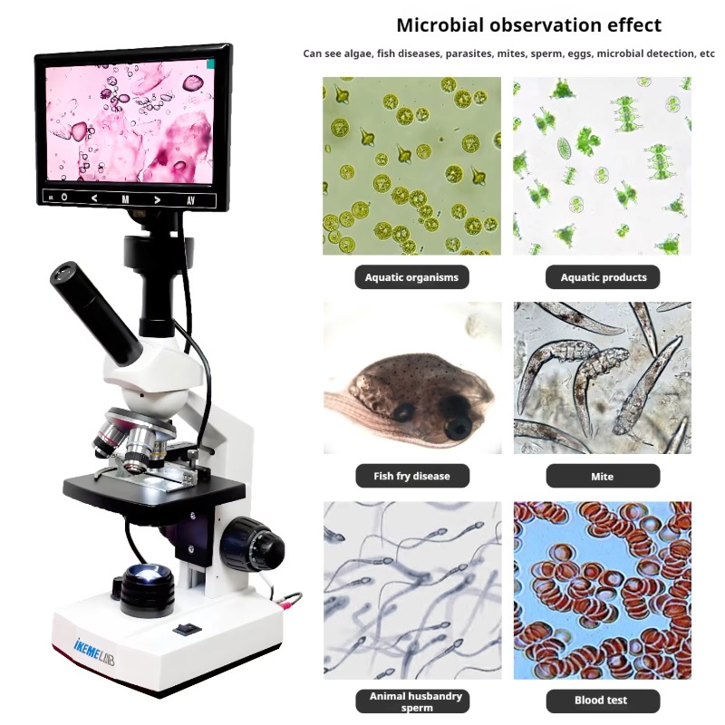 Microscópio Digital HD Binocul - Medical Lab Microscope avaliação e preço
