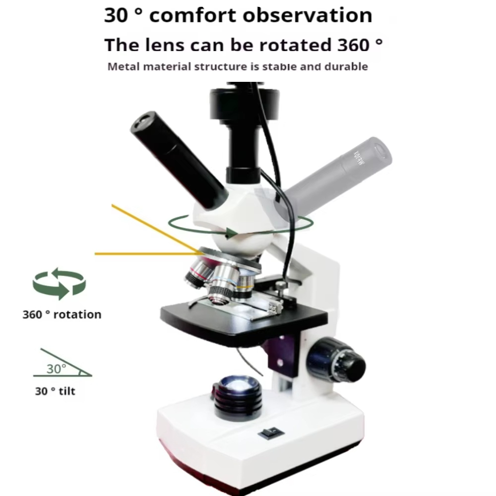 Mais vendido tela hd microscóp - Medical Lab Microscope avaliação e preço