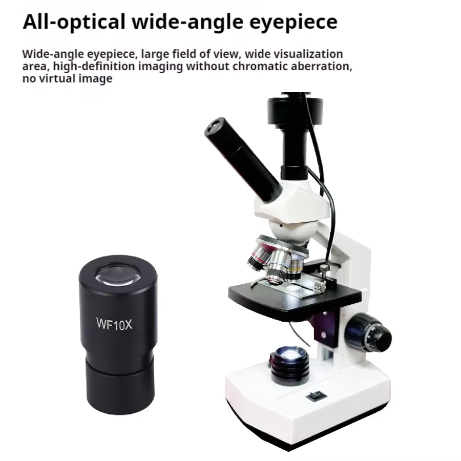 Mais vendido tela hd microscóp - Medical Lab Microscope avaliação e preço