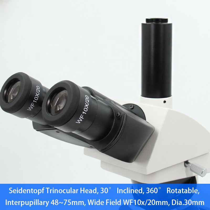 Microscópio de laboratório méd - Medical Lab Microscope avaliação e preço