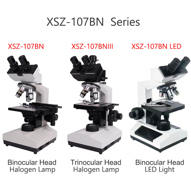 Microscópio Biológico Binocula - Medical Lab Microscope avaliação e preço