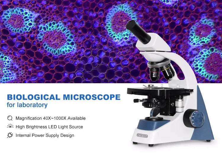 Microscópio binocular de labor - Medical Lab Microscope avaliação e preço