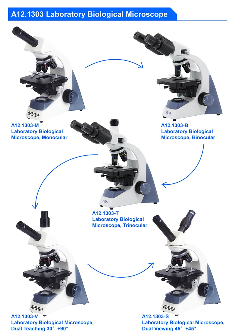Microscópio binocular de labor - Medical Lab Microscope avaliação e preço