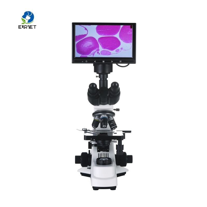 Microscópio Biológico Digital  - Medical Lab Microscope avaliação e preço