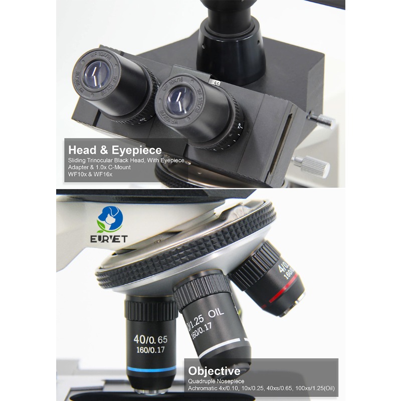 Microscópio Biológico Digital  - Medical Lab Microscope avaliação e preço