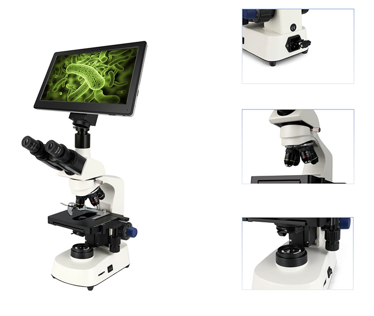 Microscópio binocular elétrico - Medical Lab Microscope avaliação e preço