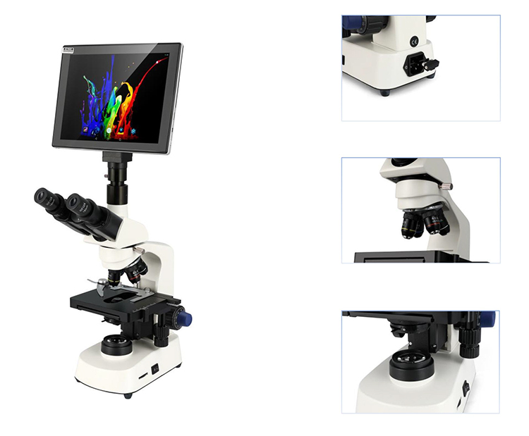 Microscópio binocular elétrico - Medical Lab Microscope avaliação e preço